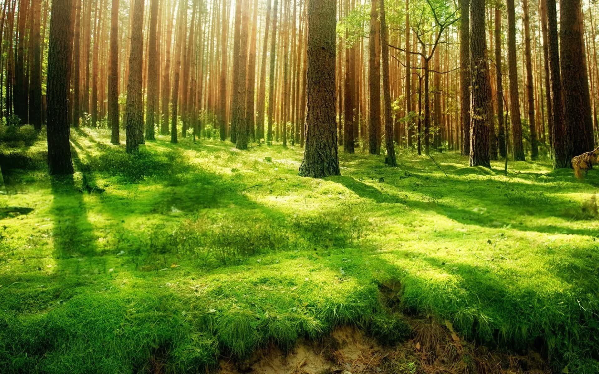 世界登山科研项目启动：高海拔训练生理机制研究，高海拔生物